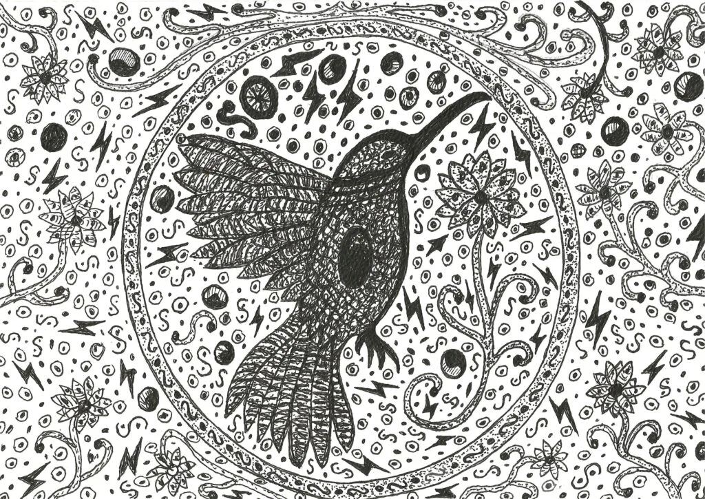 kolibri
